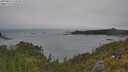 ./images/calvert/foggy-cove/20250622/foggy-cove20250622_110508M.jpg