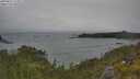 ./images/calvert/foggy-cove/20250622/foggy-cove20250622_112010M.jpg