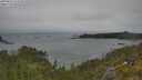 ./images/calvert/foggy-cove/20250622/foggy-cove20250622_112509M.jpg