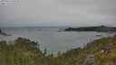 ./images/calvert/foggy-cove/20250622/foggy-cove20250622_120510M.jpg