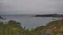 ./images/calvert/foggy-cove/20250622/foggy-cove20250622_131009M.jpg