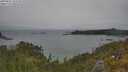 ./images/calvert/foggy-cove/20250622/foggy-cove20250622_133510M.jpg