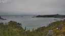 ./images/calvert/foggy-cove/20250622/foggy-cove20250622_134510M.jpg