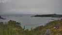 ./images/calvert/foggy-cove/20250622/foggy-cove20250622_135010M.jpg