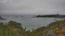 ./images/calvert/foggy-cove/20250622/foggy-cove20250622_140011M.jpg
