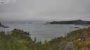 ./images/calvert/foggy-cove/20250622/foggy-cove20250622_140507M.jpg