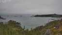 ./images/calvert/foggy-cove/20250622/foggy-cove20250622_141511M.jpg