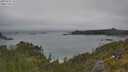 ./images/calvert/foggy-cove/20250622/foggy-cove20250622_151509M.jpg