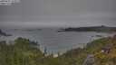 ./images/calvert/foggy-cove/20250622/foggy-cove20250622_154509M.jpg