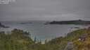 ./images/calvert/foggy-cove/20250622/foggy-cove20250622_163010M.jpg