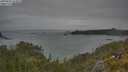 ./images/calvert/foggy-cove/20250622/foggy-cove20250622_213009M.jpg