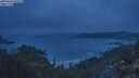 ./images/calvert/foggy-cove/20250623/foggy-cove20250623_044508M.jpg