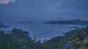 ./images/calvert/foggy-cove/20250623/foggy-cove20250623_050007M.jpg