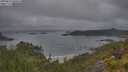 ./images/calvert/foggy-cove/20250623/foggy-cove20250623_060010M.jpg