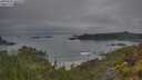 ./images/calvert/foggy-cove/20250623/foggy-cove20250623_062510M.jpg