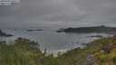 ./images/calvert/foggy-cove/20250623/foggy-cove20250623_063507M.jpg