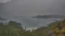 ./images/calvert/foggy-cove/20250623/foggy-cove20250623_074010M.jpg