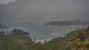./images/calvert/foggy-cove/20250623/foggy-cove20250623_075011M.jpg