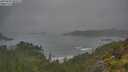 ./images/calvert/foggy-cove/20250623/foggy-cove20250623_080508M.jpg