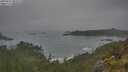 ./images/calvert/foggy-cove/20250623/foggy-cove20250623_082010M.jpg