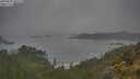 ./images/calvert/foggy-cove/20250623/foggy-cove20250623_082510M.jpg