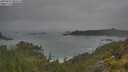 ./images/calvert/foggy-cove/20250623/foggy-cove20250623_084510M.jpg