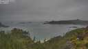 ./images/calvert/foggy-cove/20250623/foggy-cove20250623_085010M.jpg