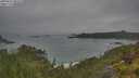 ./images/calvert/foggy-cove/20250623/foggy-cove20250623_085510M.jpg