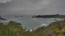 ./images/calvert/foggy-cove/20250623/foggy-cove20250623_090509M.jpg