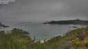 ./images/calvert/foggy-cove/20250623/foggy-cove20250623_092010M.jpg