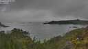 ./images/calvert/foggy-cove/20250623/foggy-cove20250623_093008M.jpg