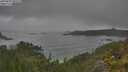 ./images/calvert/foggy-cove/20250623/foggy-cove20250623_093510M.jpg