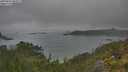./images/calvert/foggy-cove/20250623/foggy-cove20250623_094509M.jpg