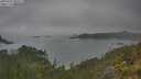 ./images/calvert/foggy-cove/20250623/foggy-cove20250623_095009M.jpg