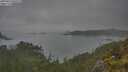 ./images/calvert/foggy-cove/20250623/foggy-cove20250623_095508M.jpg