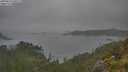 ./images/calvert/foggy-cove/20250623/foggy-cove20250623_100509M.jpg