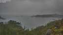 ./images/calvert/foggy-cove/20250623/foggy-cove20250623_101010M.jpg