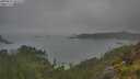 ./images/calvert/foggy-cove/20250623/foggy-cove20250623_101510M.jpg