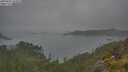 ./images/calvert/foggy-cove/20250623/foggy-cove20250623_102010M.jpg