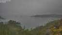 ./images/calvert/foggy-cove/20250623/foggy-cove20250623_103011M.jpg