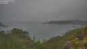 ./images/calvert/foggy-cove/20250623/foggy-cove20250623_103509M.jpg