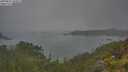 ./images/calvert/foggy-cove/20250623/foggy-cove20250623_104511M.jpg