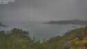 ./images/calvert/foggy-cove/20250623/foggy-cove20250623_105011M.jpg