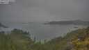 ./images/calvert/foggy-cove/20250623/foggy-cove20250623_105510M.jpg