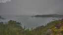 ./images/calvert/foggy-cove/20250623/foggy-cove20250623_110011M.jpg