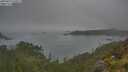 ./images/calvert/foggy-cove/20250623/foggy-cove20250623_110507M.jpg