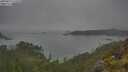 ./images/calvert/foggy-cove/20250623/foggy-cove20250623_111010M.jpg
