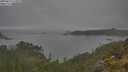 ./images/calvert/foggy-cove/20250623/foggy-cove20250623_113010M.jpg