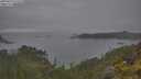 ./images/calvert/foggy-cove/20250623/foggy-cove20250623_113510M.jpg