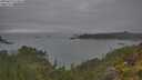 ./images/calvert/foggy-cove/20250623/foggy-cove20250623_114008M.jpg